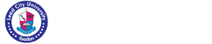 Lead City University